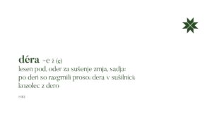 Vokabular prenove: dera